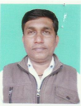 Mr. Nageshwar Nath Tripathi
